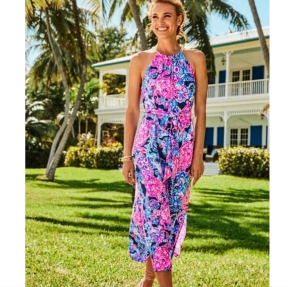 Lilly Pulitzer Bingham Midi Dress Size Large High Tide In Turtle Amazeme - Picture 1 of 6